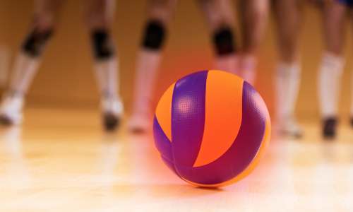 volei